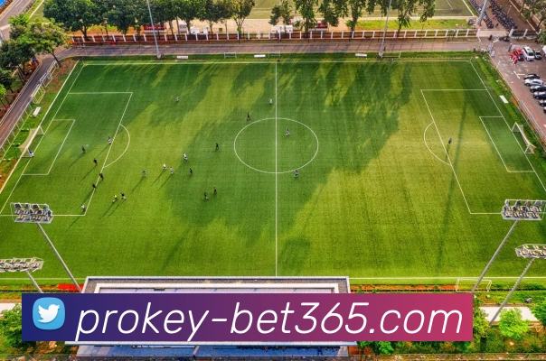 bet365平台生态图